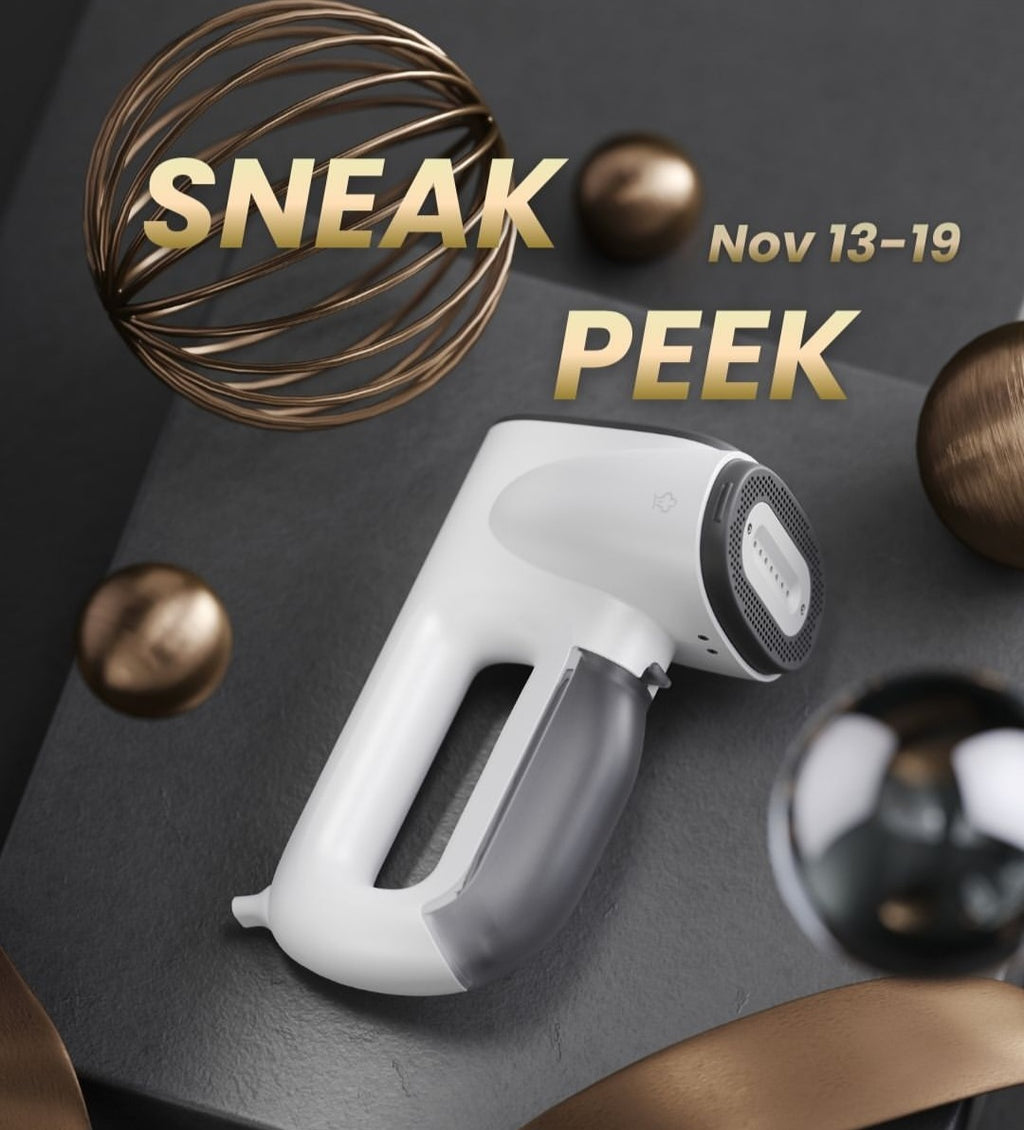 Neakasa Trending Steam Iron By FABSHOP